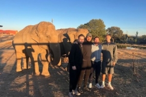 近距离接触，赫伊森社媒晒去动物园看大象的照片